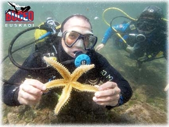 Buceo Euskadi