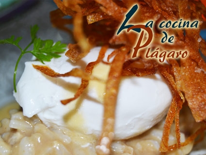 plagaro plagaro