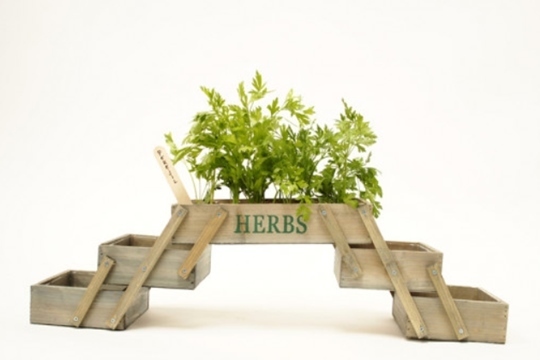 Mini huerta de madera