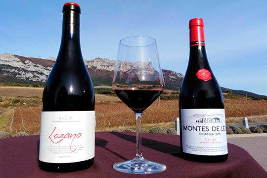 Visita una bodega con degustación, botella y más