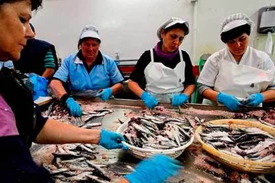 Paseo en Barco (Faro del Caballo, Santoña) + visitas y actividades