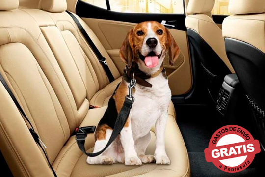 1 o 2 cinturones de seguridad para mascota ¡En el coche todos seguros!