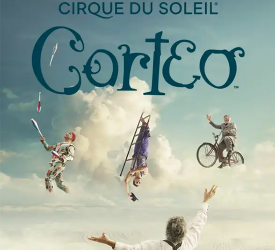 Circovitoria2020izq